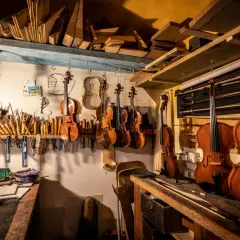 Laboratorio liutaio: violini, viole, violoncelli e archi appesi. Legname e attrezzi da lavoro, con un vasetto di kerria lacca.