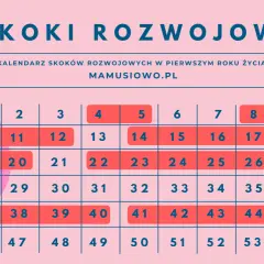 Kalendarz skoków rozwojowych po 1 roku życia. Tabela z numerami tygodni, zaznaczone okresy intensywnego rozwoju.