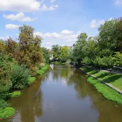 Malownicza rzeka w Opolu, przypominająca opolską wenecję, otoczona zielenią i drzewami.