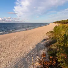 Piękna plaża w Mrzeżynie, idealne miejsce na relaks. W oddali widać spacerujących ludzi, a brzeg morza otacza sosnowy las. Mrzeżyno atrakcje to przede wszystkim przyroda.