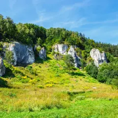 Malownicza Dolina Będkowska z wapiennymi skałami i zielonymi łąkami. Jak dojechać? Szlakiem turystycznym.