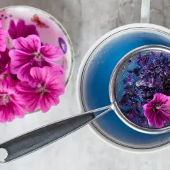 Frische und getrocknete Malvenblüten für die Malventee Zubereitung. Ein Sieb mit Blüten im blauen Tee.