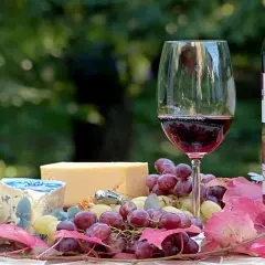Verre de vin rouge, fromage bleu et jaune, raisins et feuilles d'automne. Une belle invitation à découvrir quel vin rouge avec fromage.