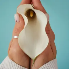 Mains tenant une calla blanche, évoquant la délicatesse et la guérison après une douleur périnée après accouchement.
