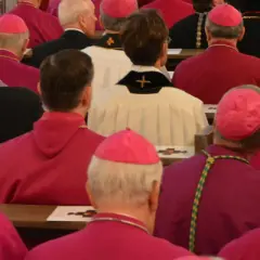Bischöfe und Kardinäle in roten und weißen Gewändern, einige mit pinken Kopfbedeckungen. Der Unterschied zwischen Bischof und Kardinal ist in der Hierarchie erkennbar.