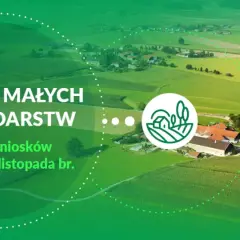 Rozwój małych gospodarstw 2025: nabór wniosków do 10 listopada. Widok z lotu ptaka na zielone pola i zabudowania wiejskie.