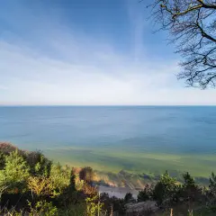 Widok z **wzgórza Gosań** na spokojne morze i piaszczystą plażę. Na pierwszym planie drzewa i zieleń.
