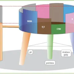 Model ilustruje czynniki wpływające na plon, kluczowe dla każdego agronoma: wodę, składniki mineralne (N, K₂O, cynk) oraz poprawę gleby (pH, próchnica, struktura).