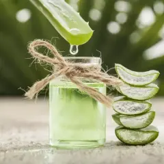 Kropla czystego soku z liści Aloe Barbadensis spływa do buteleczki. Obok piętrzą się plasterki aloesu.