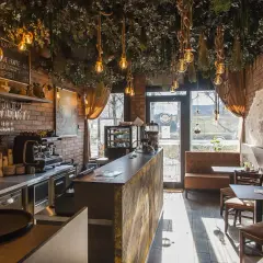 Bardejov: Gdzie zjeść? Odkryj najlepsze restauracje i kawiarnie