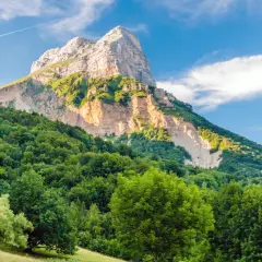 Vaste forêt verdoyante au pied d'une montagne majestueuse, un paysage qui pourrait bien être la plus belle forêt de France.
