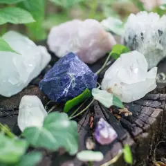 Różne minerały na pniu drzewa. Zastanawiasz się, jak sprawdzić czy minerał jest prawdziwy? Obserwuj jego strukturę i kolor.