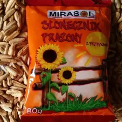 Gdzie kupić słonecznik z przyprawami Mirasol w najlepszych cenach