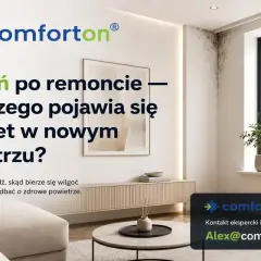 Pleśń na ścianie po remoncie? Sprawdź, jak zadbać o wentylację w łazience i zdrowe powietrze.