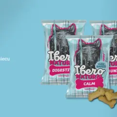 Kiedy kotka rodzi? Poznaj objawy i czas porodu, aby pomóc