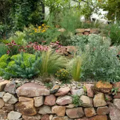 Ein Steingarten mit vielen Pflanzen und Blumen, der zeigt, wie man mit 1001 Ideen Garten gestalten mit wenig Geld kann.