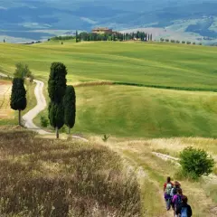 Un gruppo di escursionisti percorre un sentiero nella **route des vins toscane**, tra dolci colline verdi e cipressi iconici.