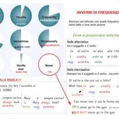 Diagramma con avverbi di frequenza in inglese: Always, Usually, Often, Sometimes, Seldom/Rarely, Hardly ever, Frequently, Occasionally, Never. Spiega la loro posizione nelle frasi.