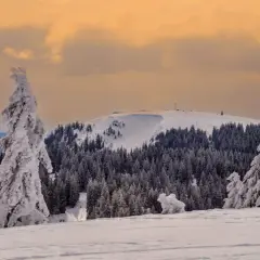 Schwarzwald höchste Berge: Feldberg, Belchen & Herzogenhorn entdecken
