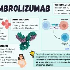 Pembrolizumab: Indikationen, Anwendung, Wirkmechanismus und Nebenwirkungen. Erfolge bei vielen Krebsarten.