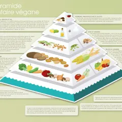 Pyramide alimentaire végane : huiles, noix, graines (lipides) sont sources d'acides gras essentiels.