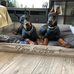 Dos Dóberman descansan en una cama de madera personalizada, "Kora & Ares". Ideal para quienes buscan como hacer una cama para perros de madera.