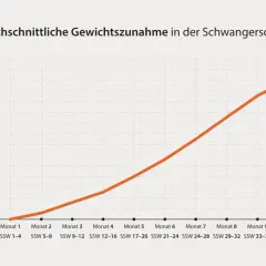 Grafik zeigt die durchschnittliche Gewichtszunahme in der Schwangerschaft. Die Zunahme steigt von ca. 1 kg in Monat 1 auf fast 14 kg in Monat 10.