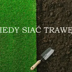 Podzielony obraz: zieleń trawy i ciemna ziemia z łopatką. Napis: Kiedy siać trawę?