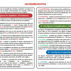 Ce document explique les figures de style, comme l'anaphore ou l'antithèse, qui enrichissent le langage.