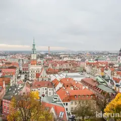 Muzeum Sztuk Użytkowych w Poznaniu: Zamek, design, wieża i darmowy wtorek