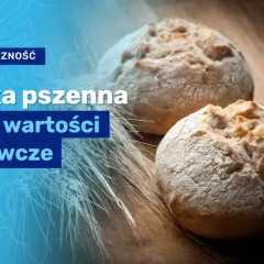 Bułka pszenna: ile ma kalorii? Sprawdź wartości odżywcze i IG