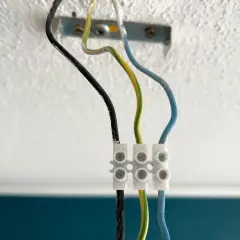 Drei Kabel (schwarz, grün-gelb, blau) sind mit einer Klemme verbunden, bereit zum Lampe abmontieren.