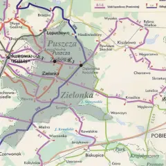 Puszcza Zielonka oferuje liczne trasy rowerowe, idealne na aktywny wypoczynek.
