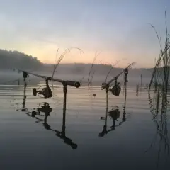 Dwie wędki ustawione na brzegu jeziora o wschodzie słońca, mgła unosi się nad wodą, czekając na branie sazana.