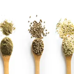Drei Löffel mit Hanfsamen, Hanfprotein und geschälten Hanfsamen. Entdecke die vielfältige hanfsamen wirkung für deine Gesundheit.