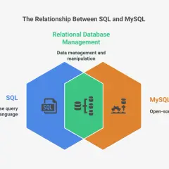 Schéma illustrant la relation entre SQL (langage de requête) et MySQL (SGBDR open-source), soulignant leur rôle dans la gestion des bases de données relationnelles.