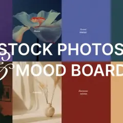 A mood board showcasing diverse stock photos and color palettes, from a single purple flower to a dramatic portrait, illustrating what a mood board is.