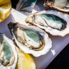 Trois huîtres vertes fraîchement ouvertes, prêtes à être dégustées avec des quartiers de citron.