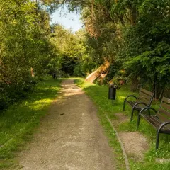 Ścieżka w parku, ławki i kosz na śmieci przy Młynówce Królewskiej.