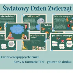 Światowy Dzień Zwierząt: poznaj prawa, podział i znaczenie zwierząt. Dbaj o nie!