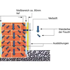 Darstellung von Feuchtetransport in einer Wand, was die hygroskopisch definition verdeutlicht. Pfeile zeigen die Wanderbewegung der Feuchte und Ausblühungen.