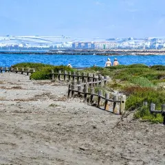 Camino de madera en la playa de Punta Entinas Sabinar, con vegetación y el mar azul al fondo.