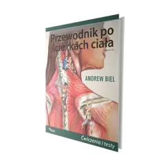 Co po medycynie? Pełny przewodnik po ścieżkach kariery i zarobkach