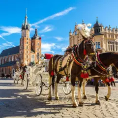 Kraków, Rynek Główny z dorożkami i Kościołem Mariackim. Zastanawiasz się, ile kosztuje nocleg w Krakowie?