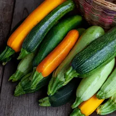 Zbiór cukinii w różnych kolorach, od jasnozielonych po pomarańczowe. Zastanawiasz się, czy cukinie można mrozić? Tak, można je mrozić, by cieszyć się ich smakiem przez cały rok.
