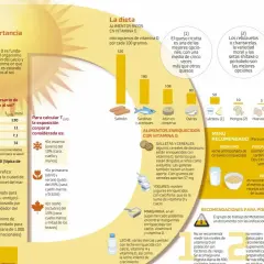 Infografía sobre la vitamina D, sus fuentes (sol, dieta, suplementos) y su importancia para niños y adultos.