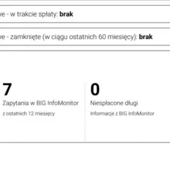 Co widzi bank w raporcie BIK i jak to wpływa na Twoją zdolność kredytową