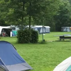 Un camping verde con varias tiendas de campaña y caravanas. Un lugar ideal para disfrutar de los mejores camping de España.