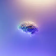 Model ludzkiego mózgu w neonowym świetle, symbolizujący ból psychogenny i złożoność ludzkiej psychiki.