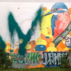 Graffiti Künstler Bremen: Kosten, Ablauf & Profi-Tipps
